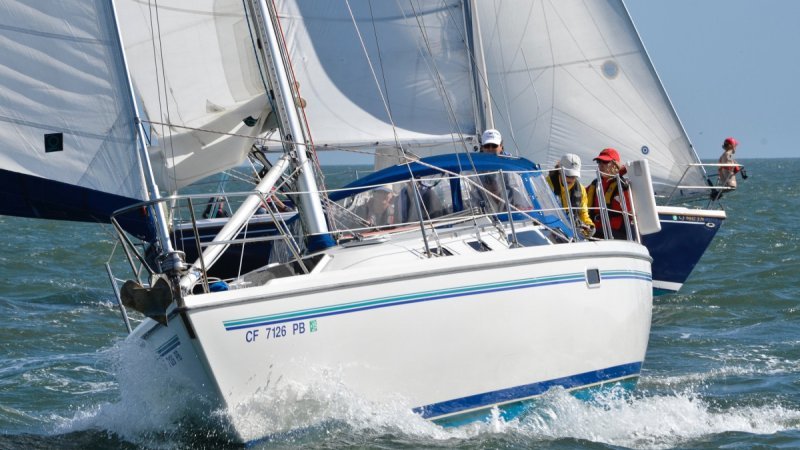 ¿Qué Vela Necesita Tu Barco? Guía Práctica para Elegir la Vela Perfecta